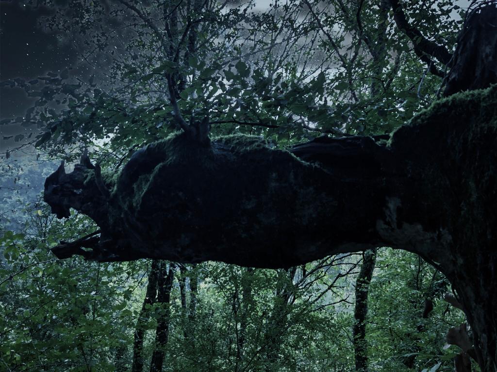 122209120_1346098915752537_2215200011884820836_o